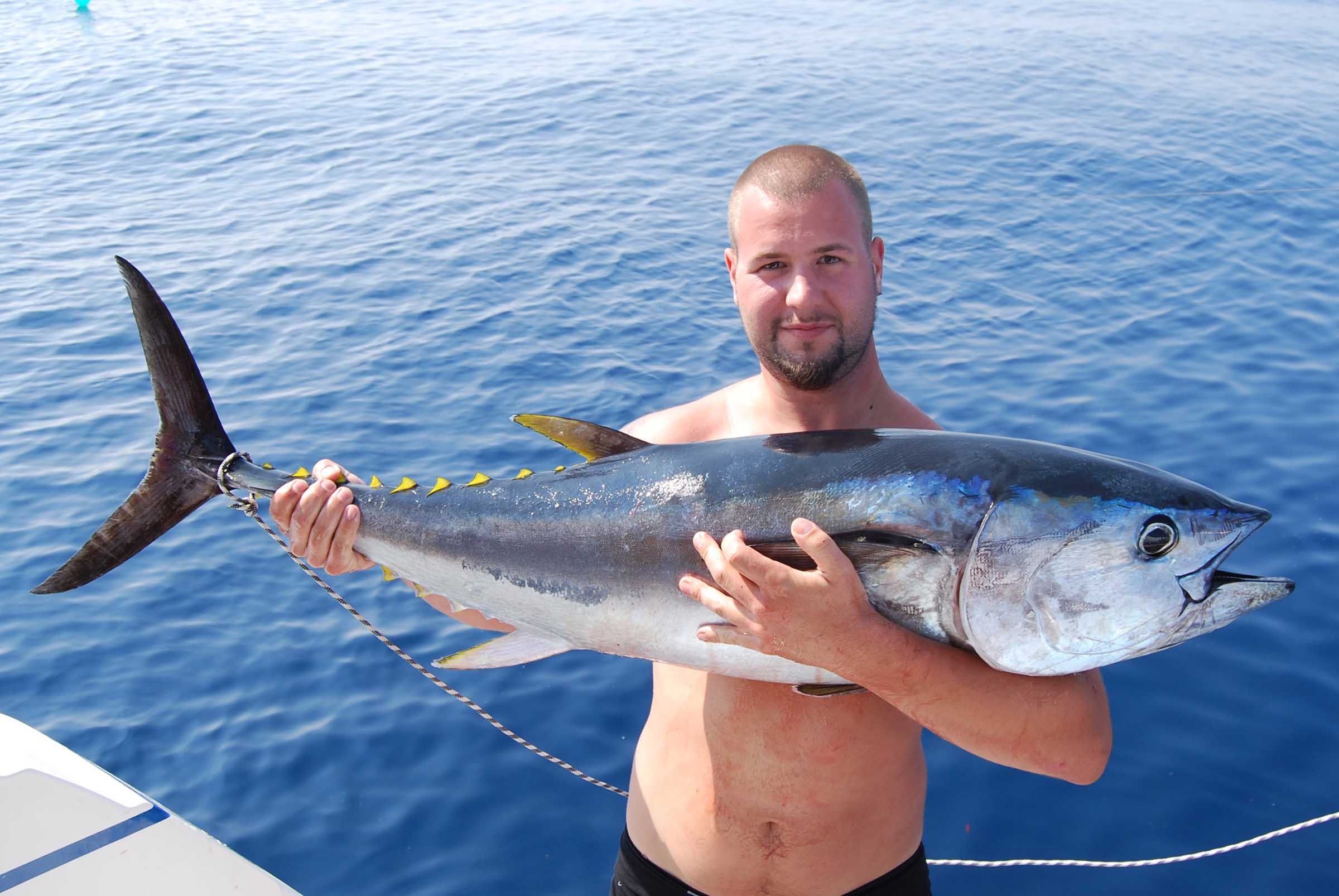 Hochseefischen ab Murter mit Adventure Yachting entlang der kroatischen Küste